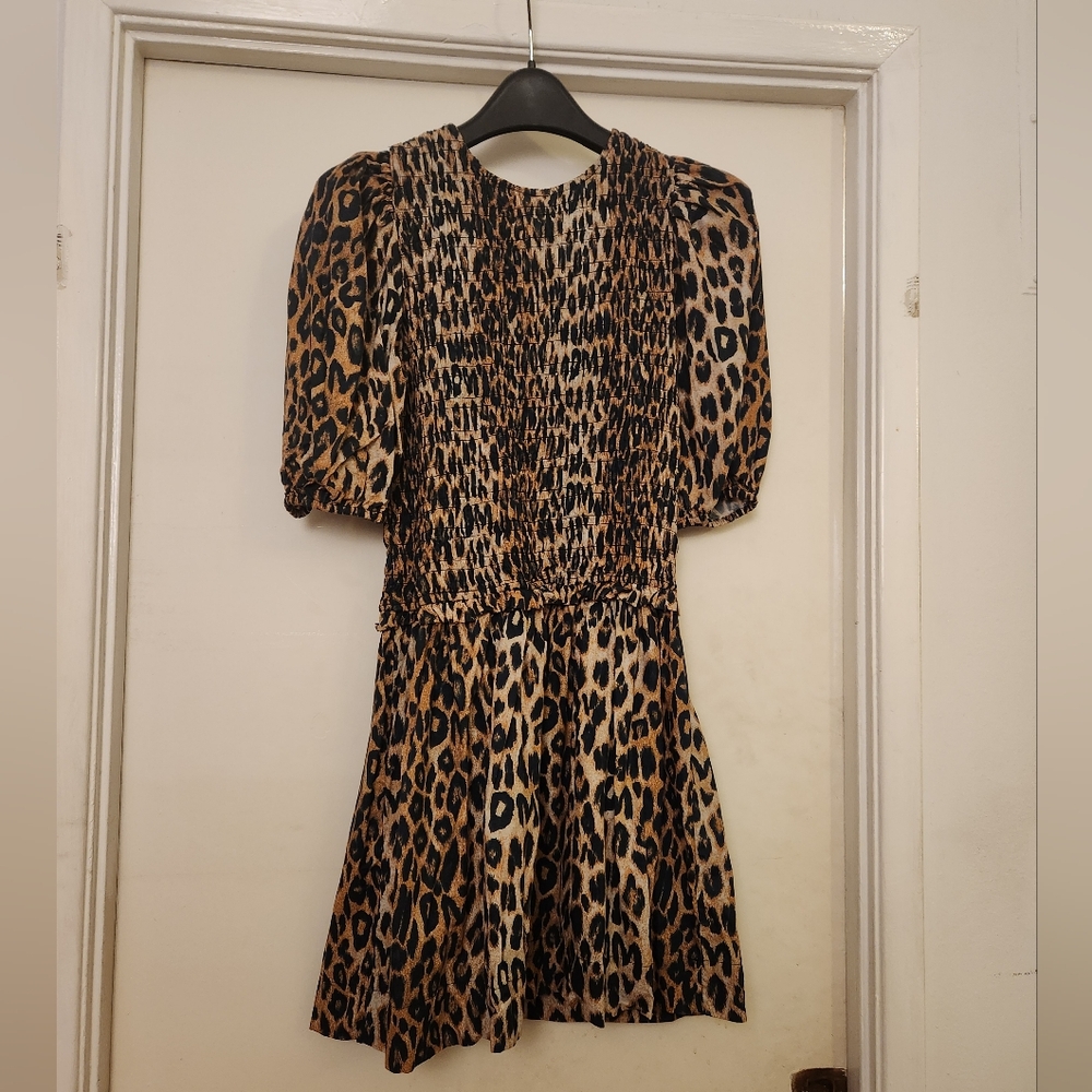 Leopard Print Mini Dress